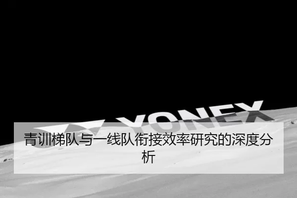 青训梯队与一线队衔接效率研究的深度分析